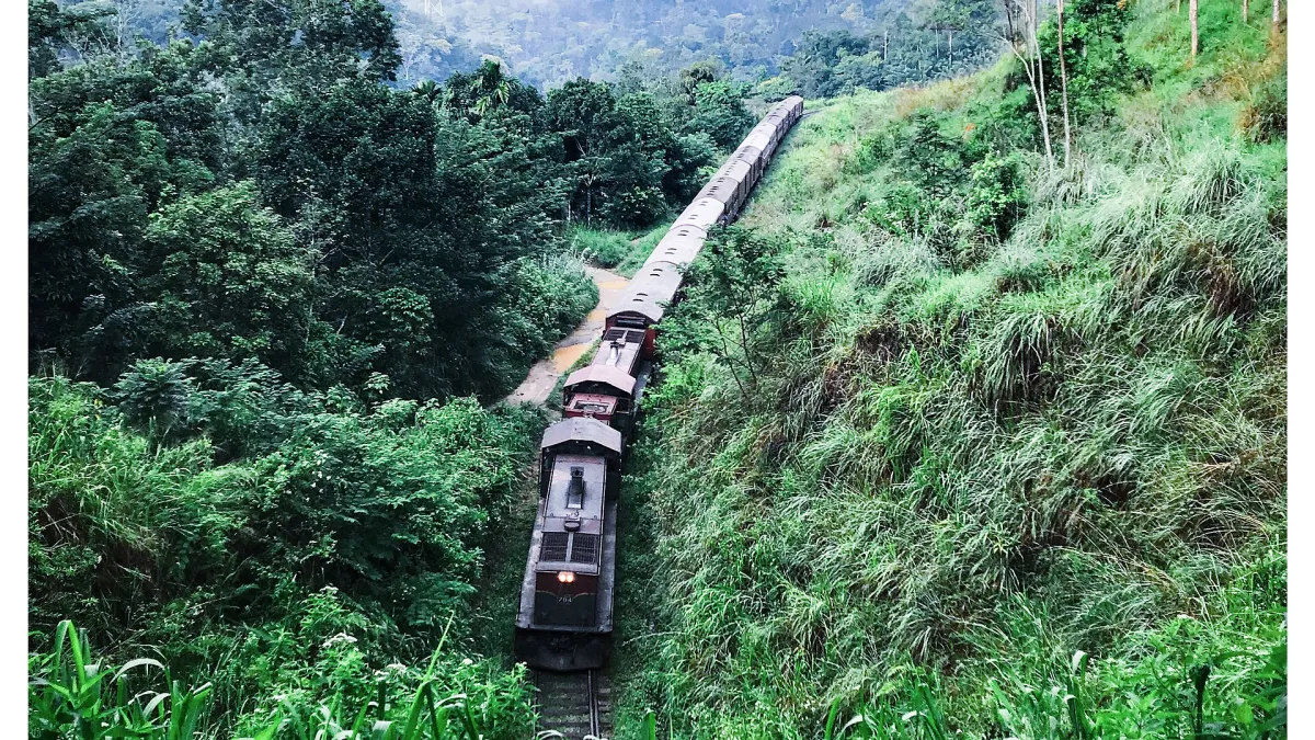 Before You Commit to Food-focused itineraries: A Guide to reduce waste over the full lifecycle