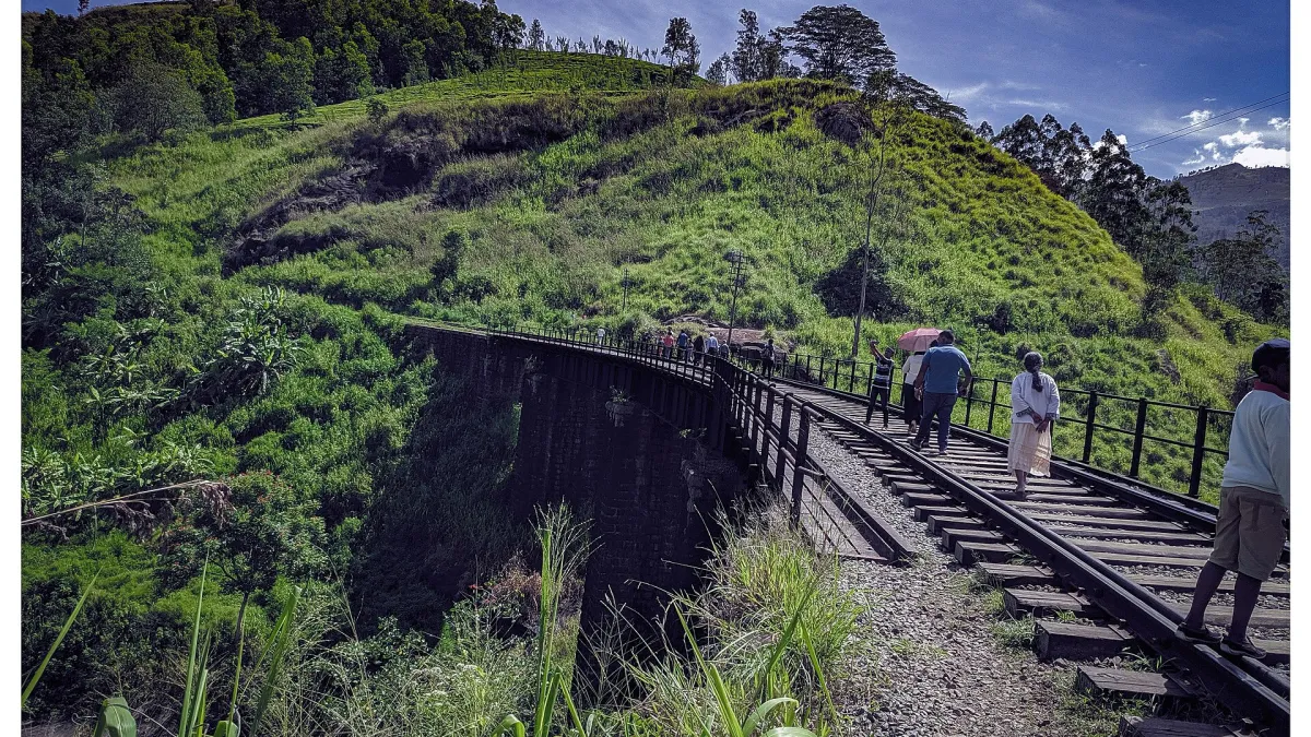 How to separate useful evidence from popular myths With Food-focused itineraries—Without swapping one oversimplification for another