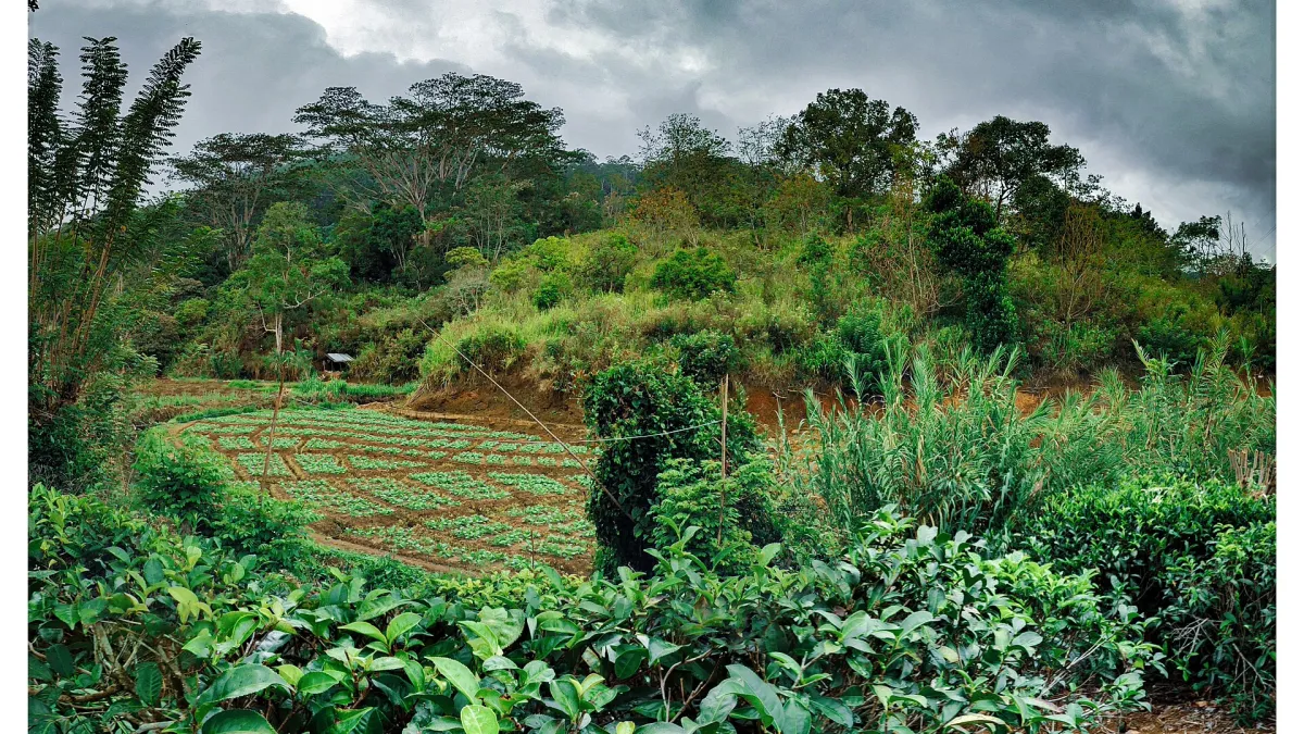 The Real-World Food-focused itineraries Checklist for people considering an upgrade